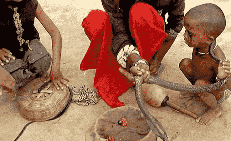 Approved Spell Caster: What Makes a Healer Trustworthy